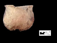 Keyser cord-marked vessel with perforated node from the Keyser Farm site, 44PA1.�SI Cat.# 382985-Courtesy of the Smithsonian Institution, Museum of Natural History, Department of Anthropology.